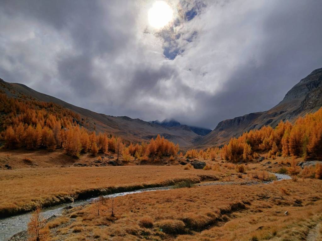 Lectures d&rsquo;automne